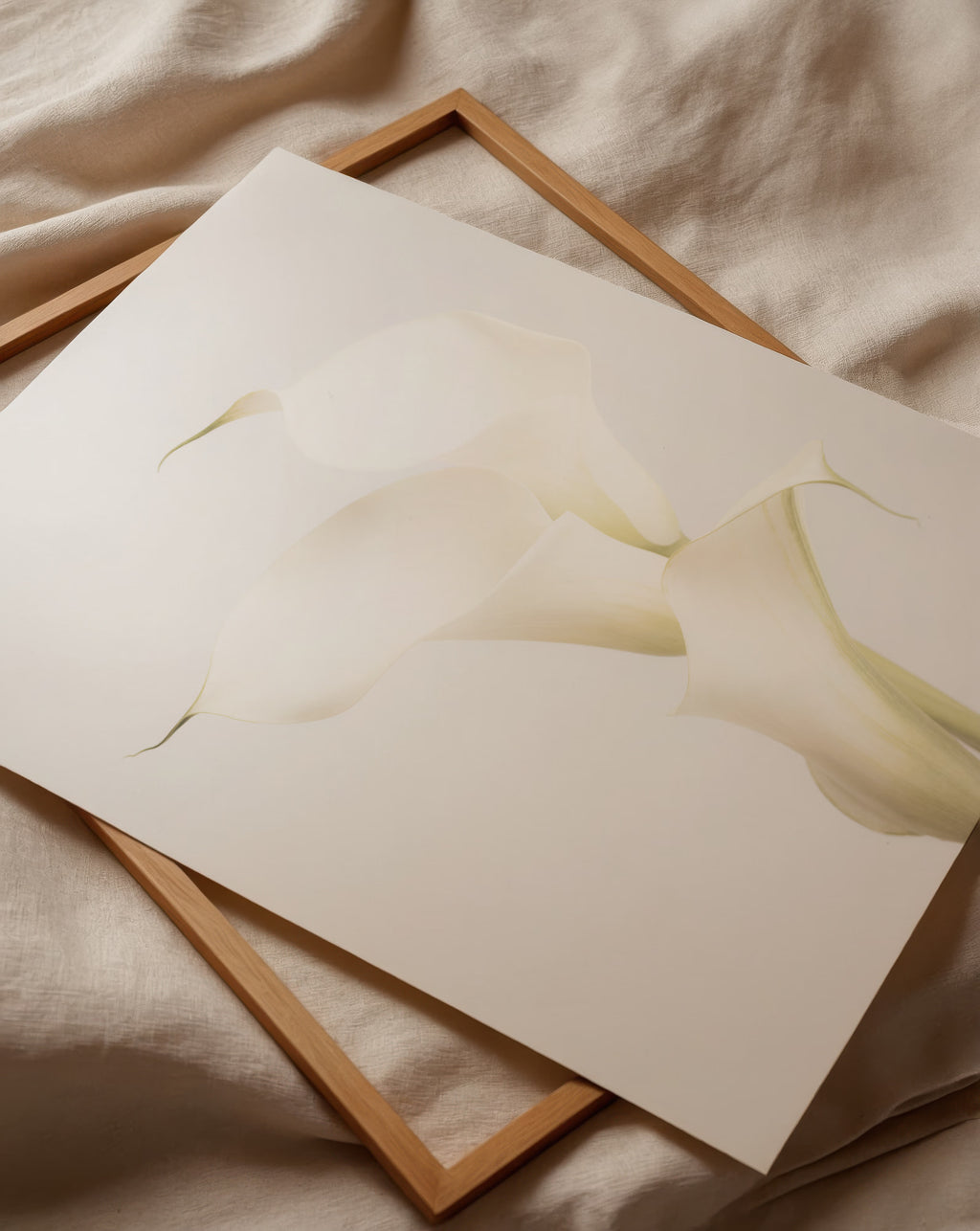 White Calla Lily No 3