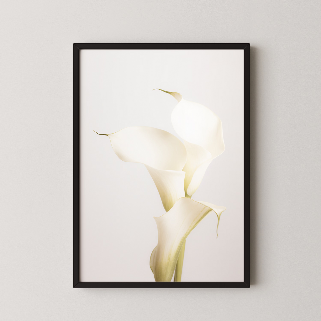White Calla Lily No 3