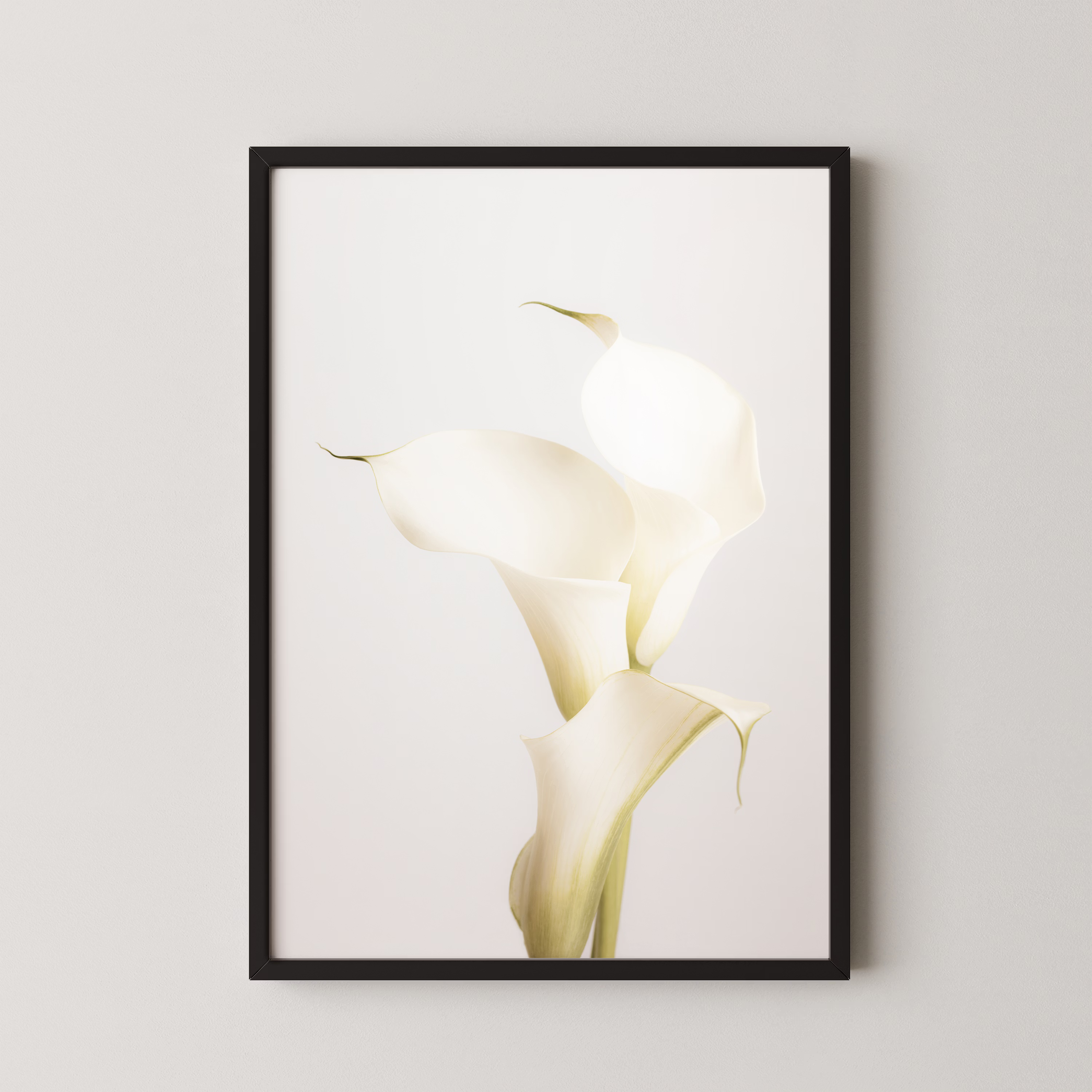 White Calla Lily No 3