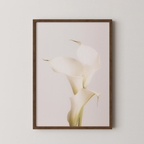 White Calla Lily No 3