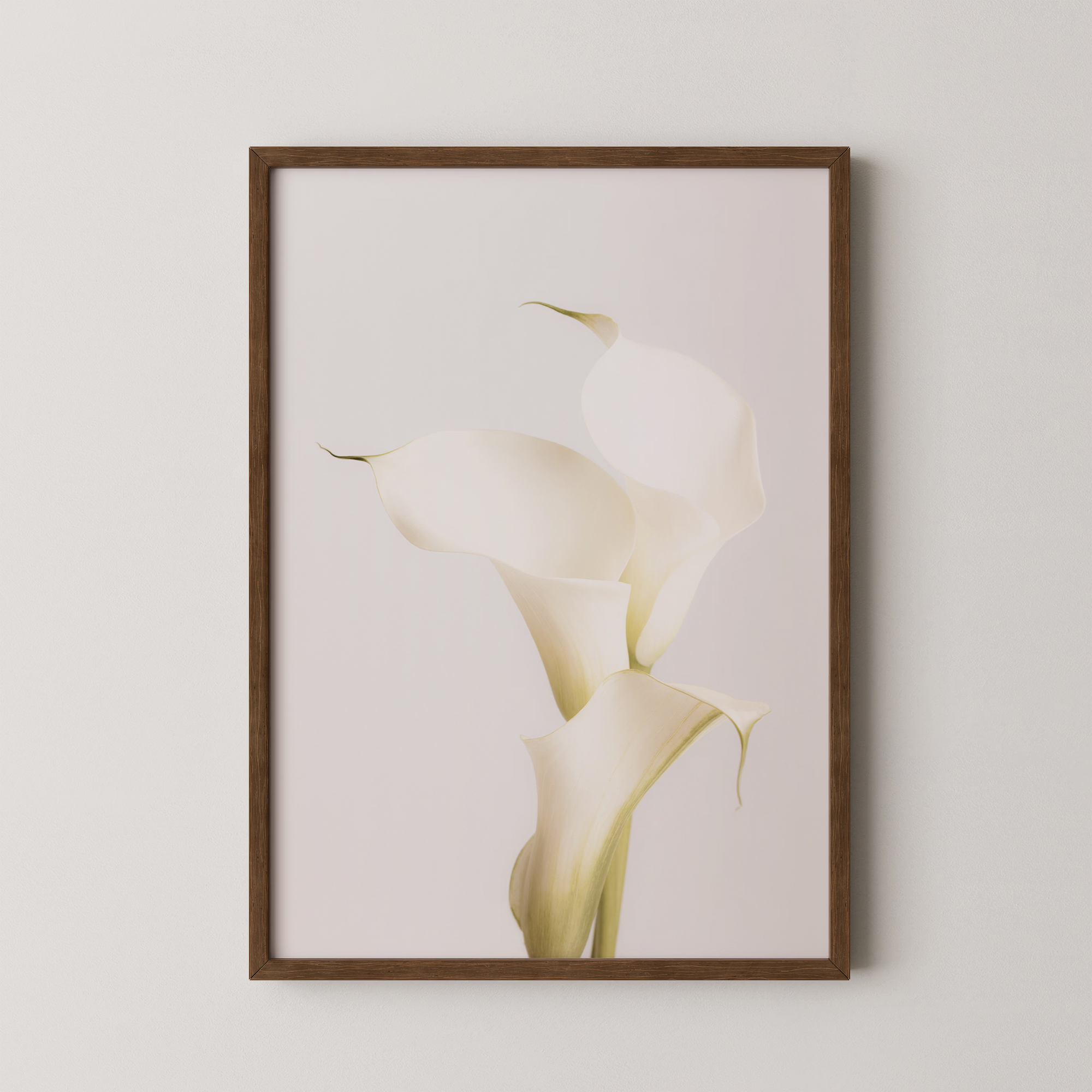 White Calla Lily No 3