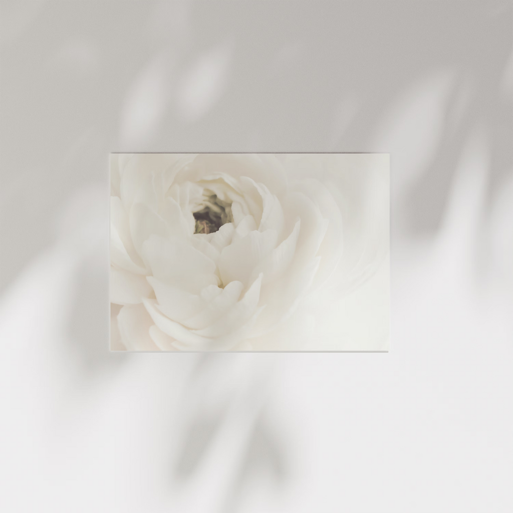 White Flower 02