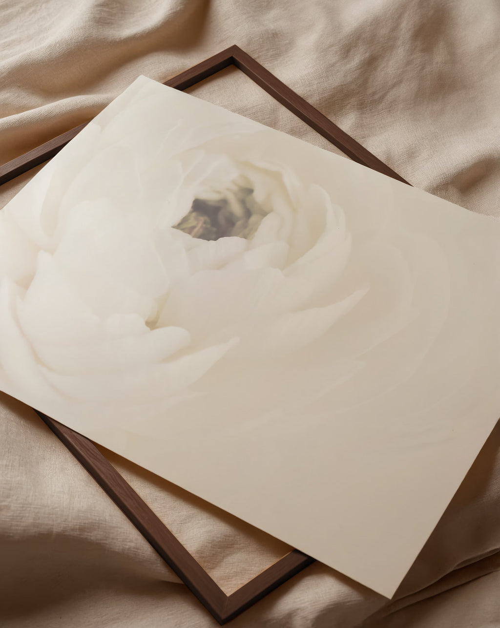 White Flower 02