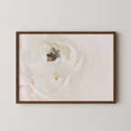 White Flower 02