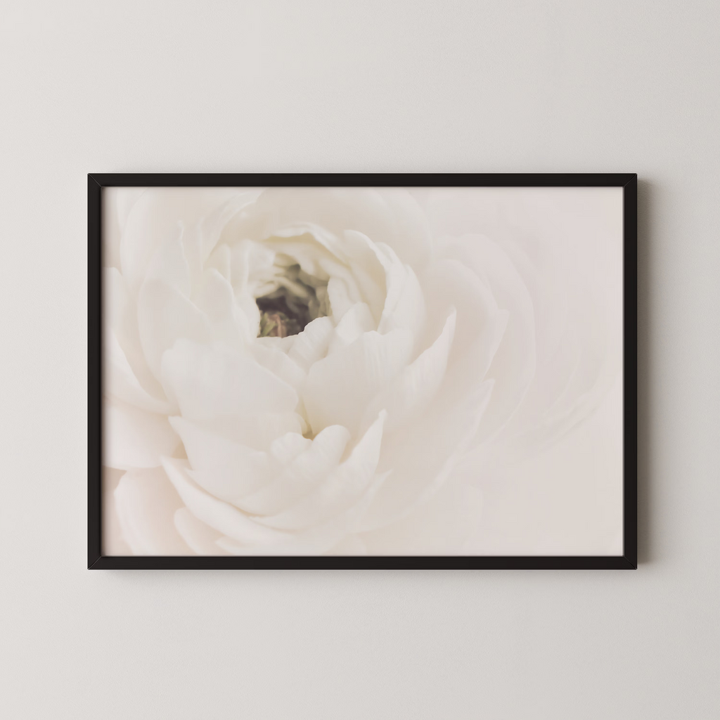 White Flower 02
