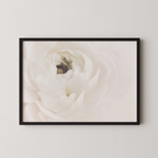 White Flower 02