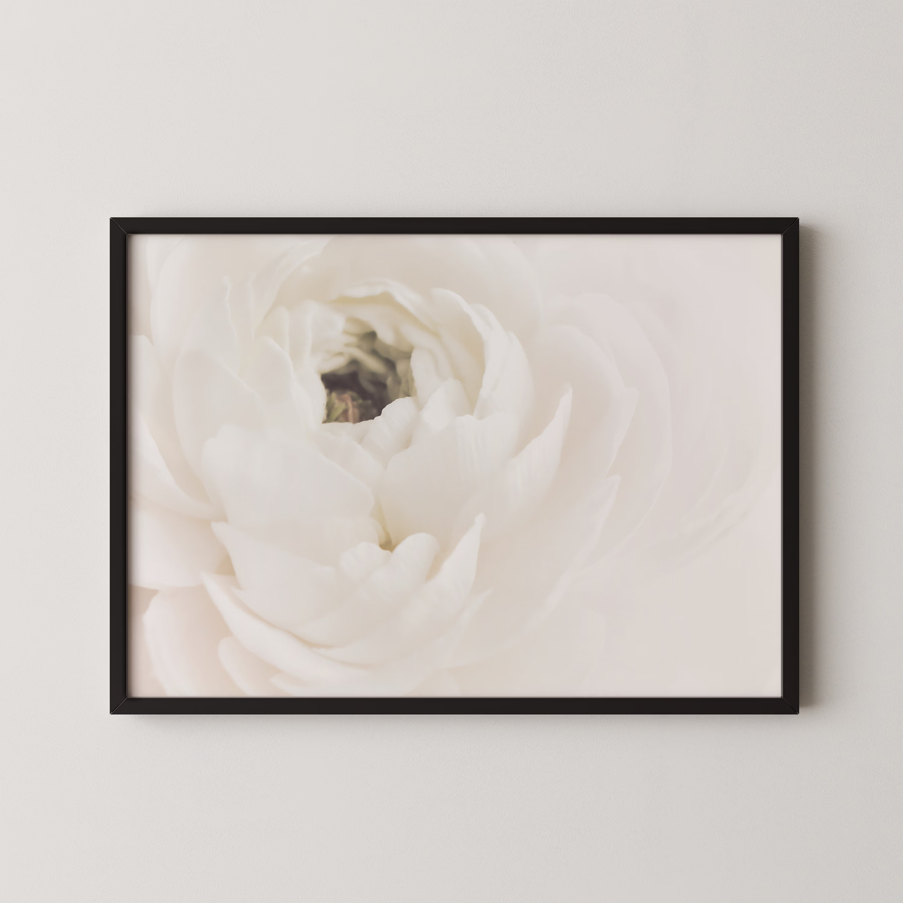 White Flower 02