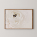 White Flower 02