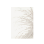 Palm_008