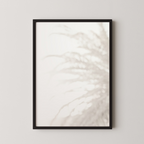 Palm_008