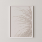Palm_008