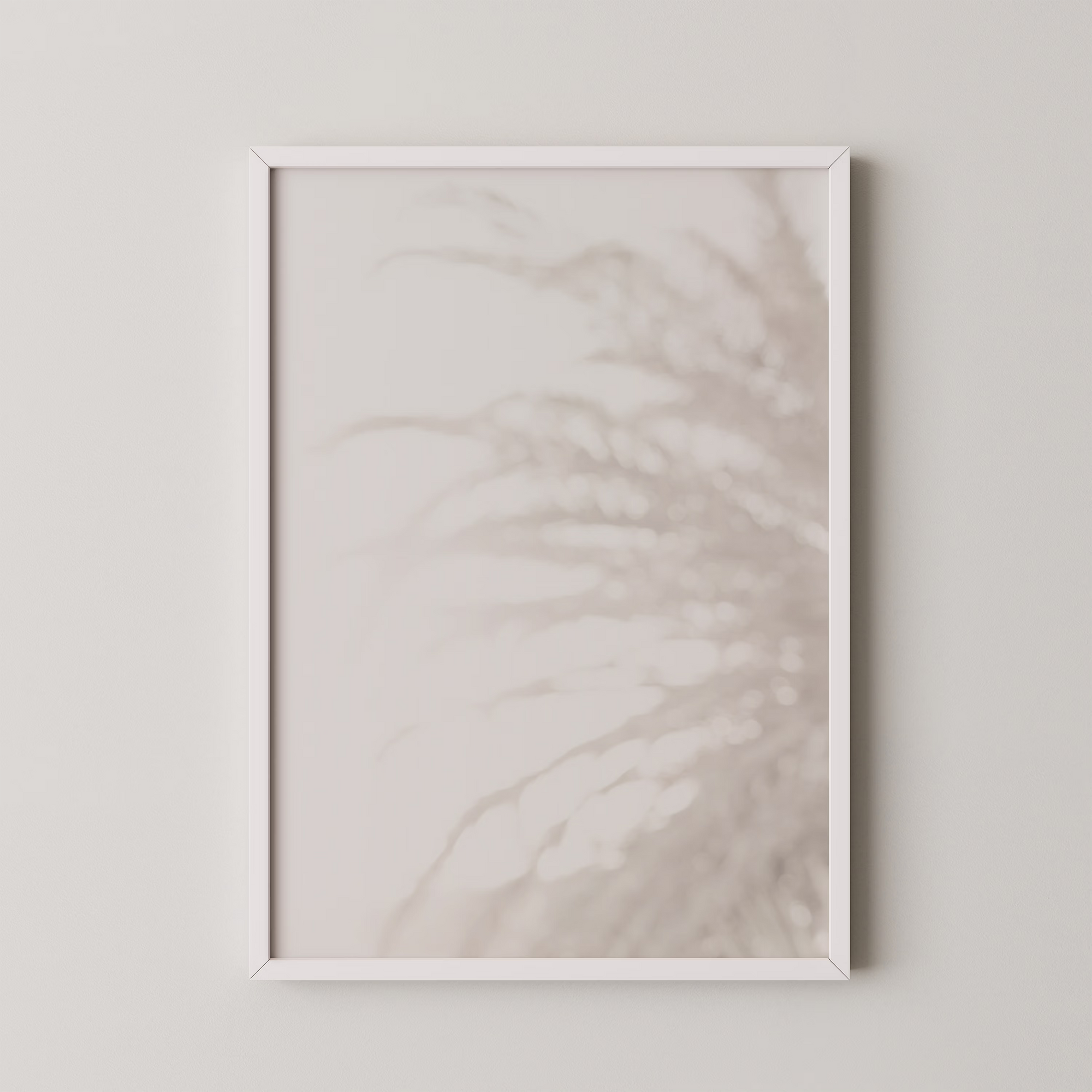Palm_008