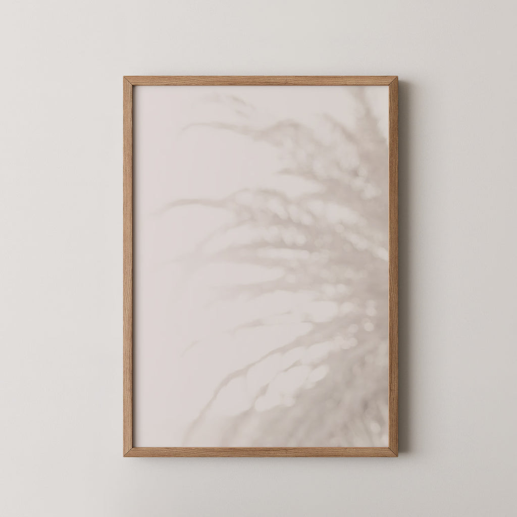 Palm_008