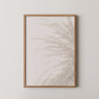 Palm_008