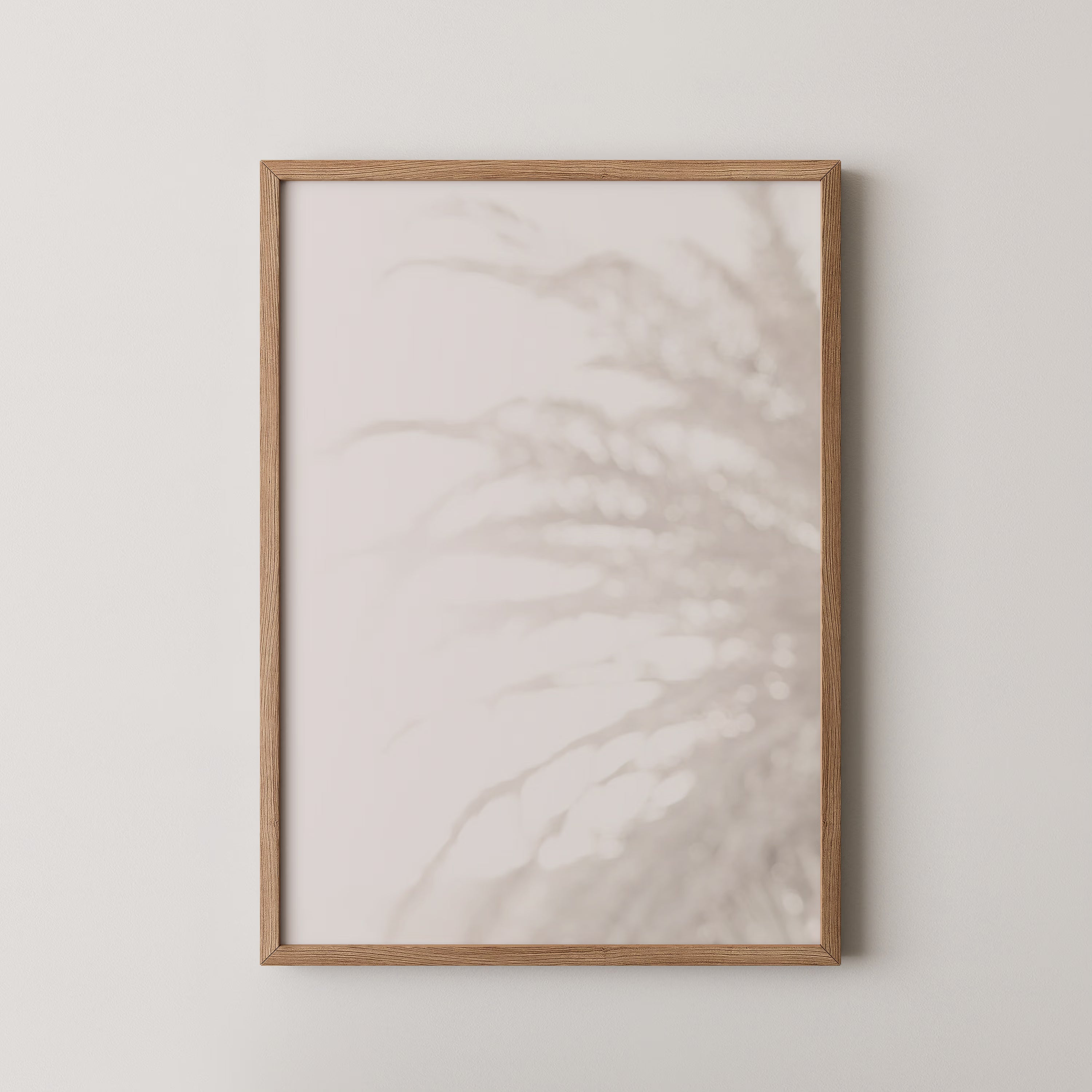 Palm_008