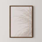 Palm_008