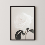 Peony 03