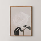 Peony 03