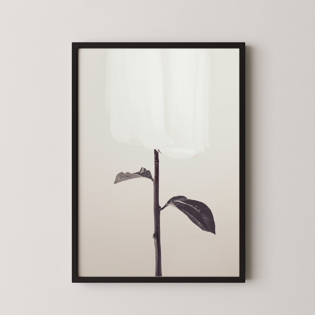 Peony 18