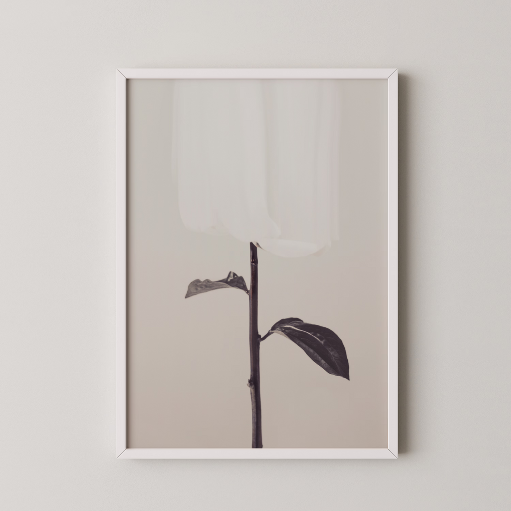 Peony 18