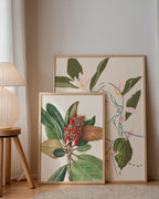 Southern Magnolia (1923)