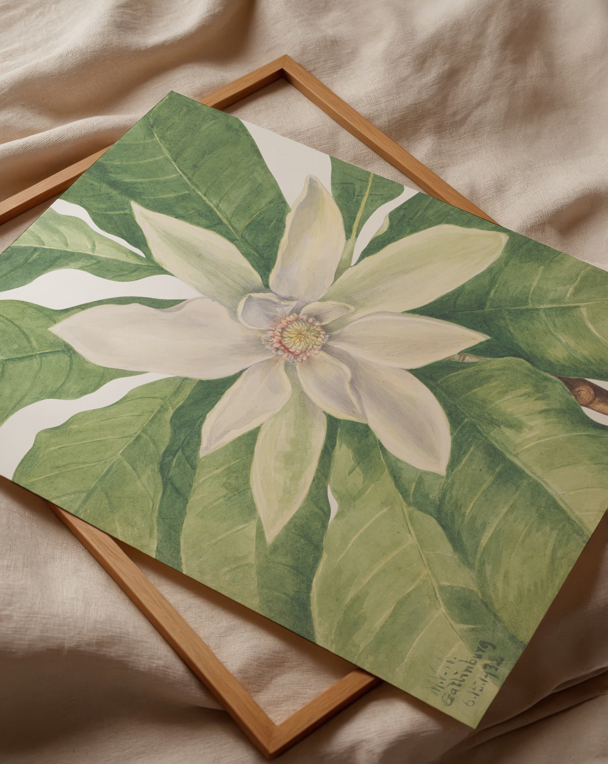 Umbrella Tree (1932)