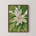 Umbrella Tree (1932)