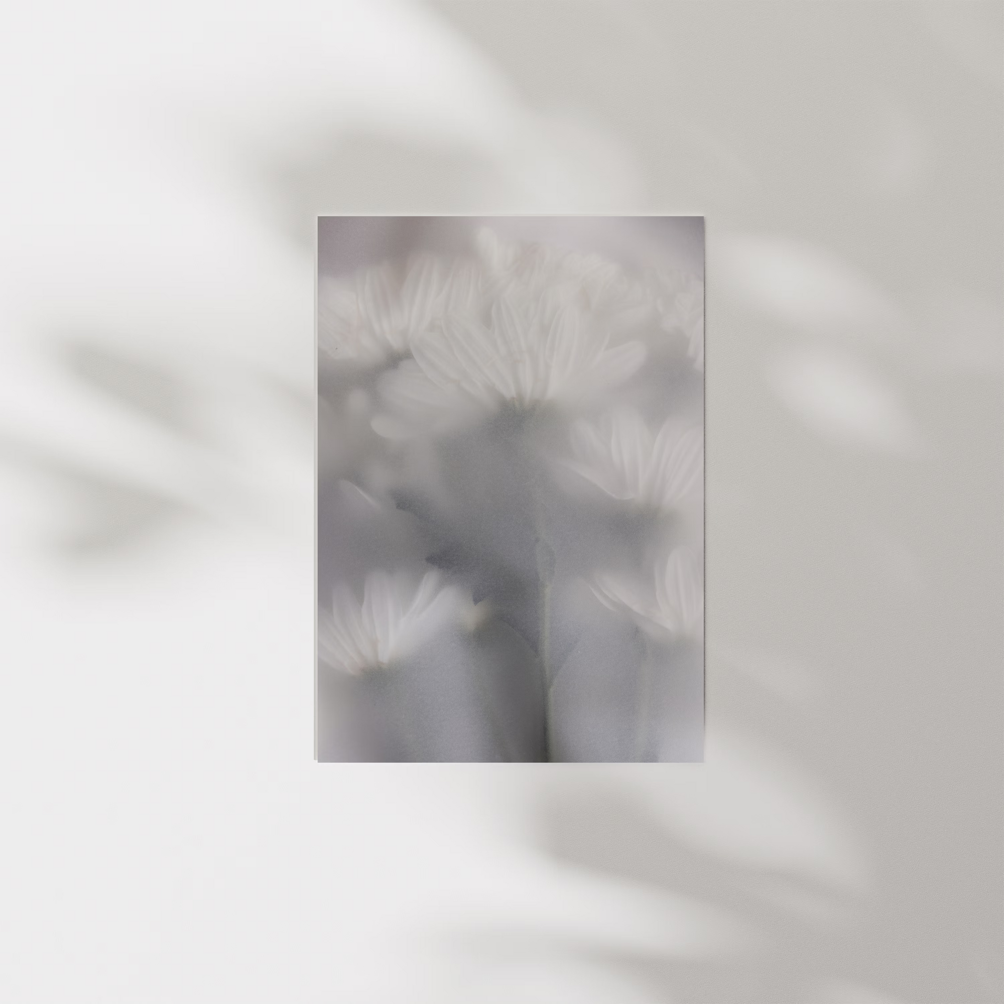 Blurred Flowers 6