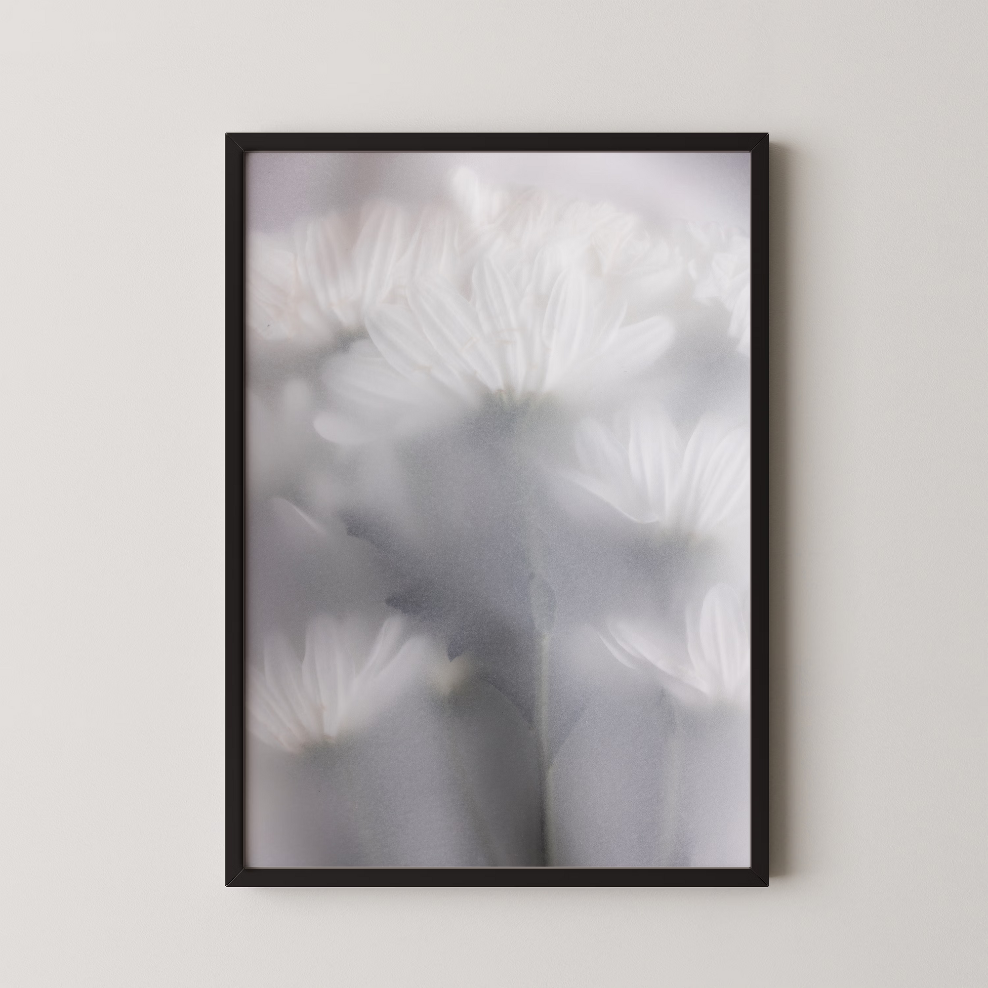 Blurred Flowers 6