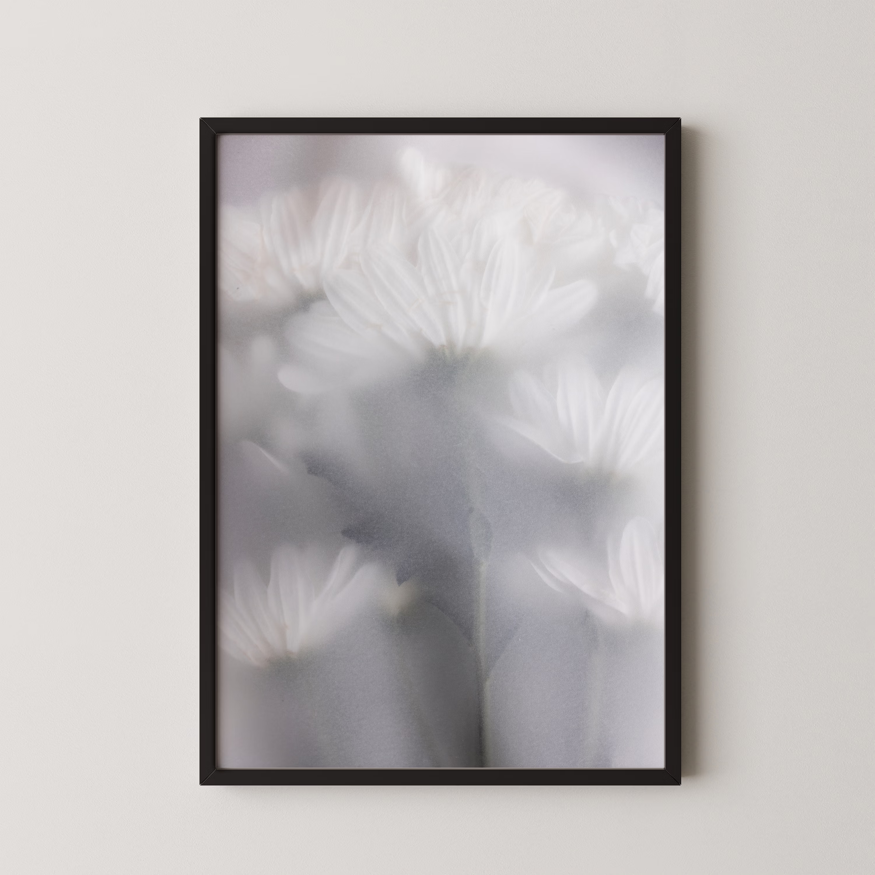 Blurred Flowers 6