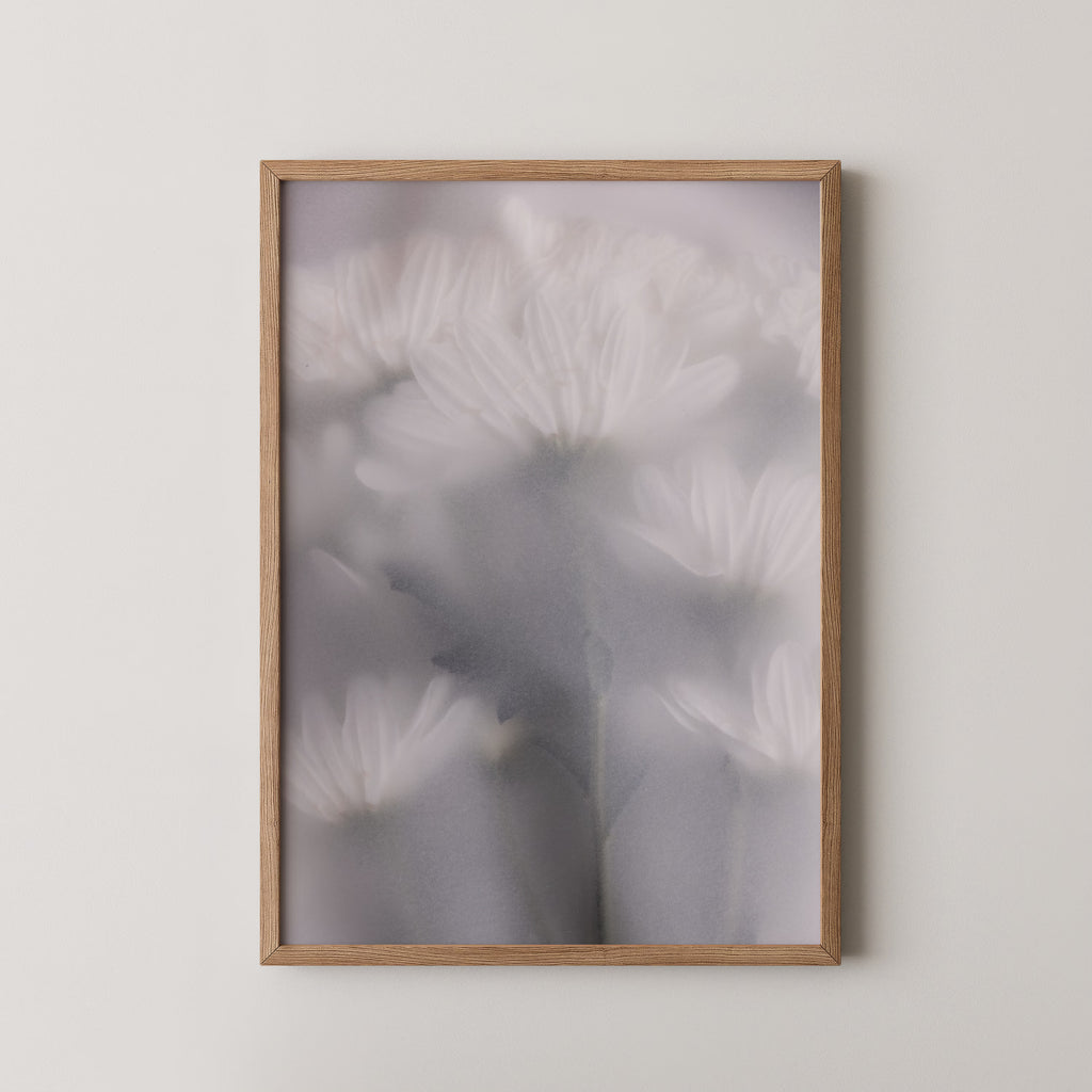 Blurred Flowers 6