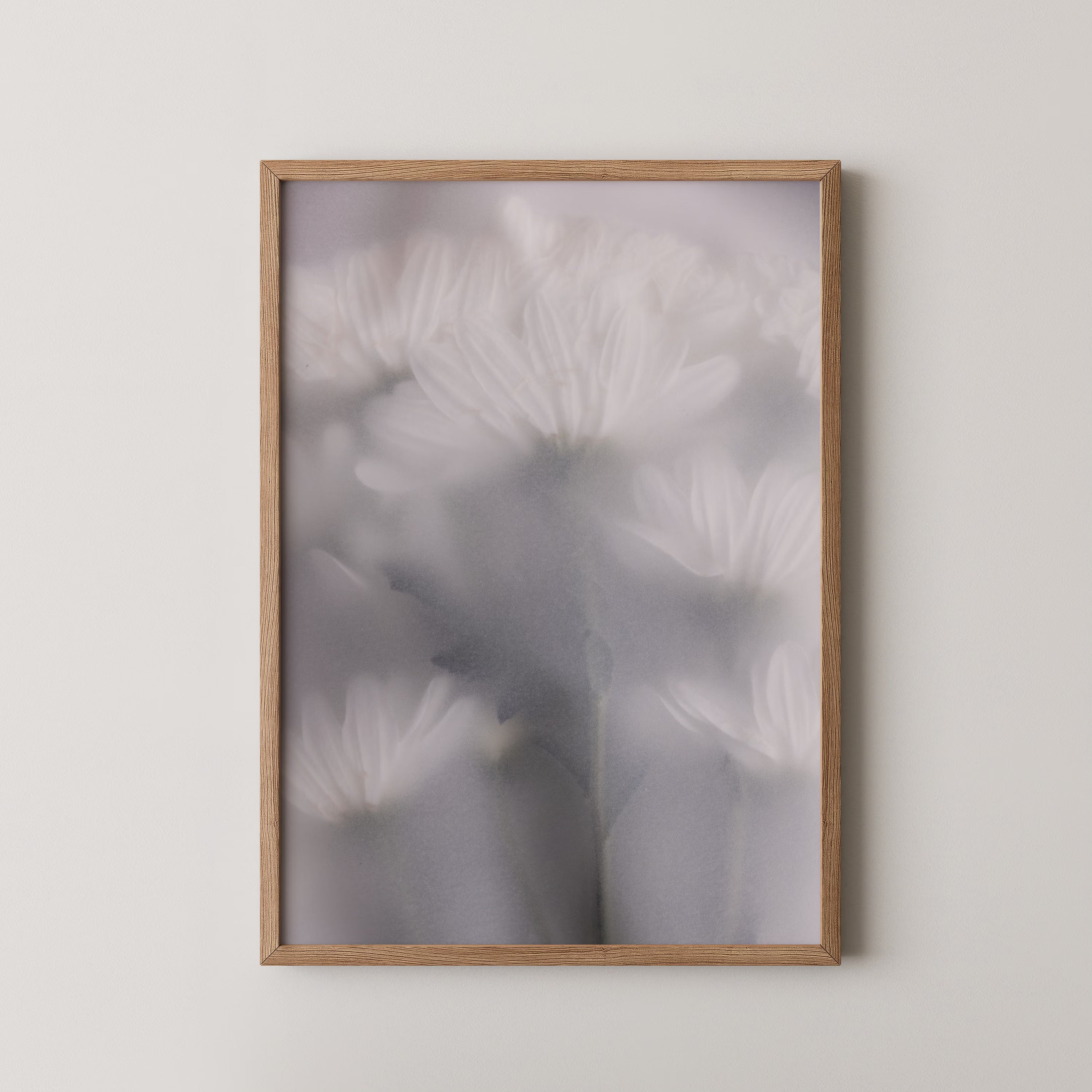 Blurred Flowers 6