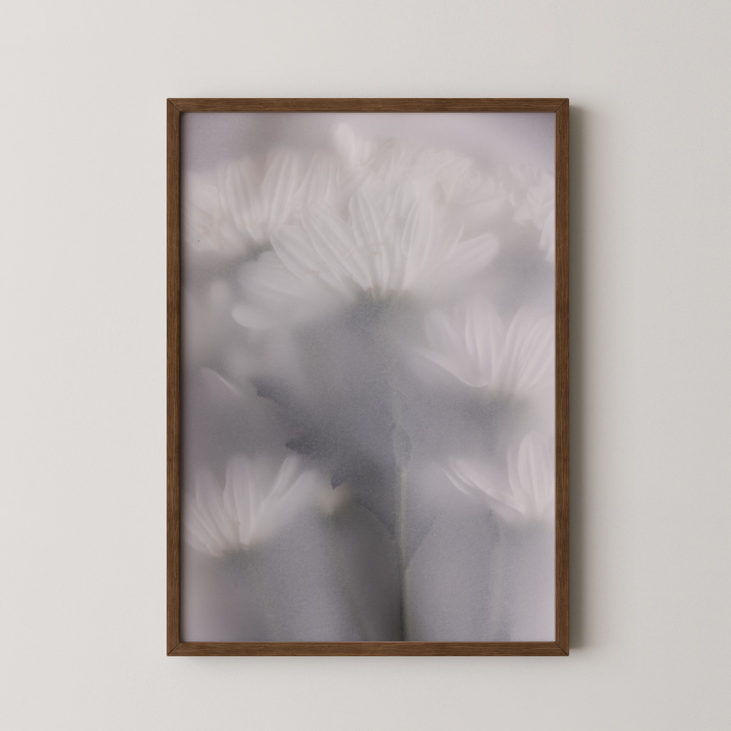 Blurred Flowers 6