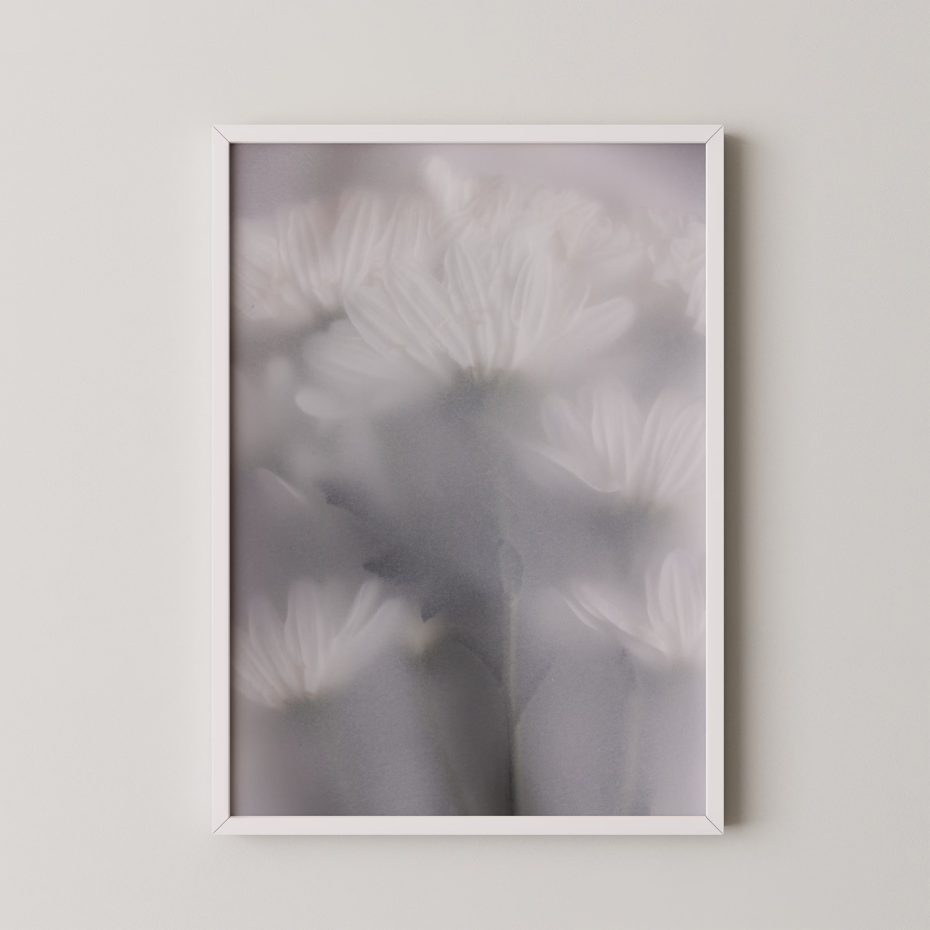 Blurred Flowers 6