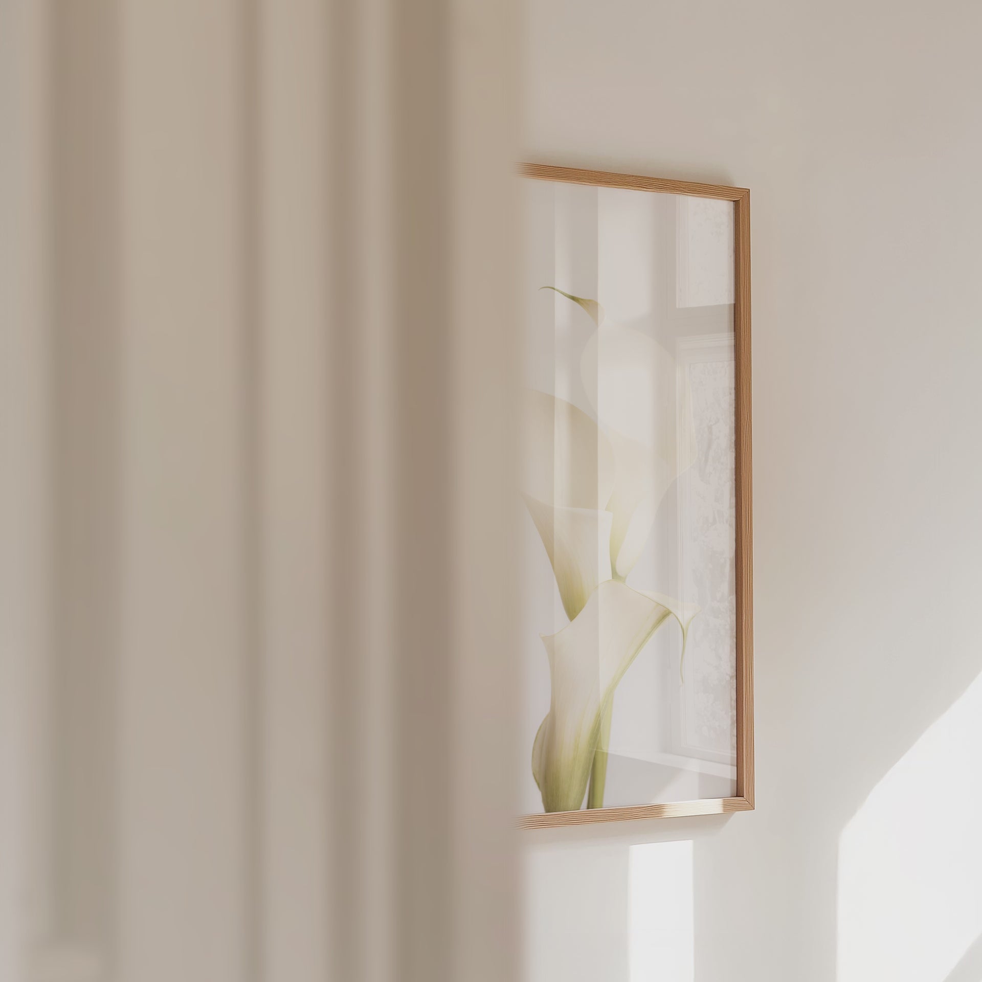 White Calla Lily No 3
